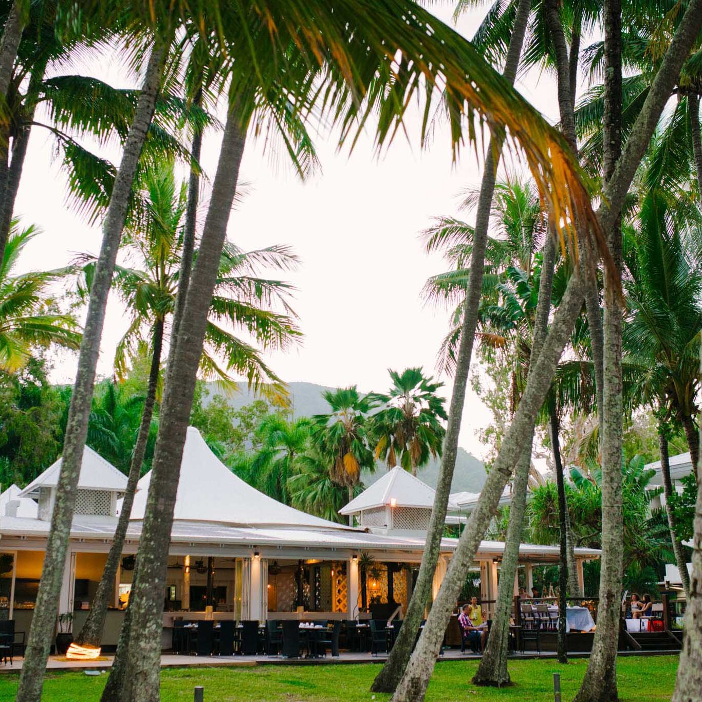 Nu Nu restaurant beachfront palm cove