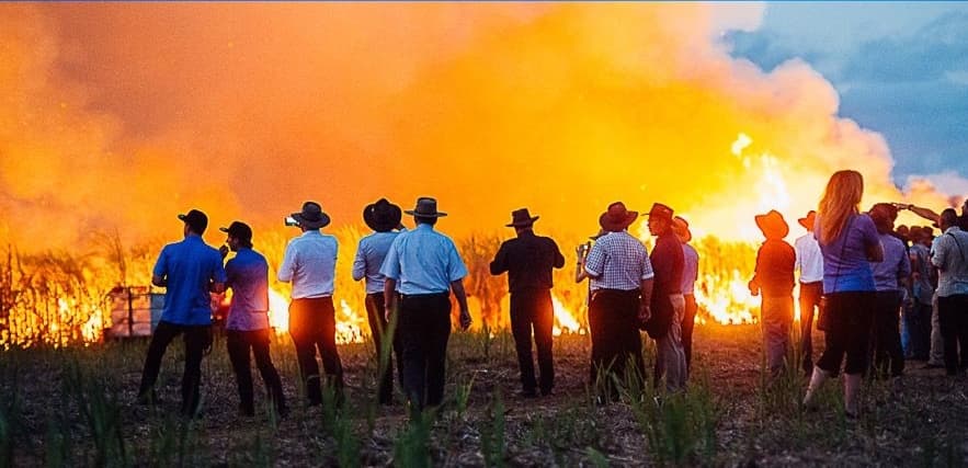 Guests in wide-brim hats watching a cane fire roar at dusk