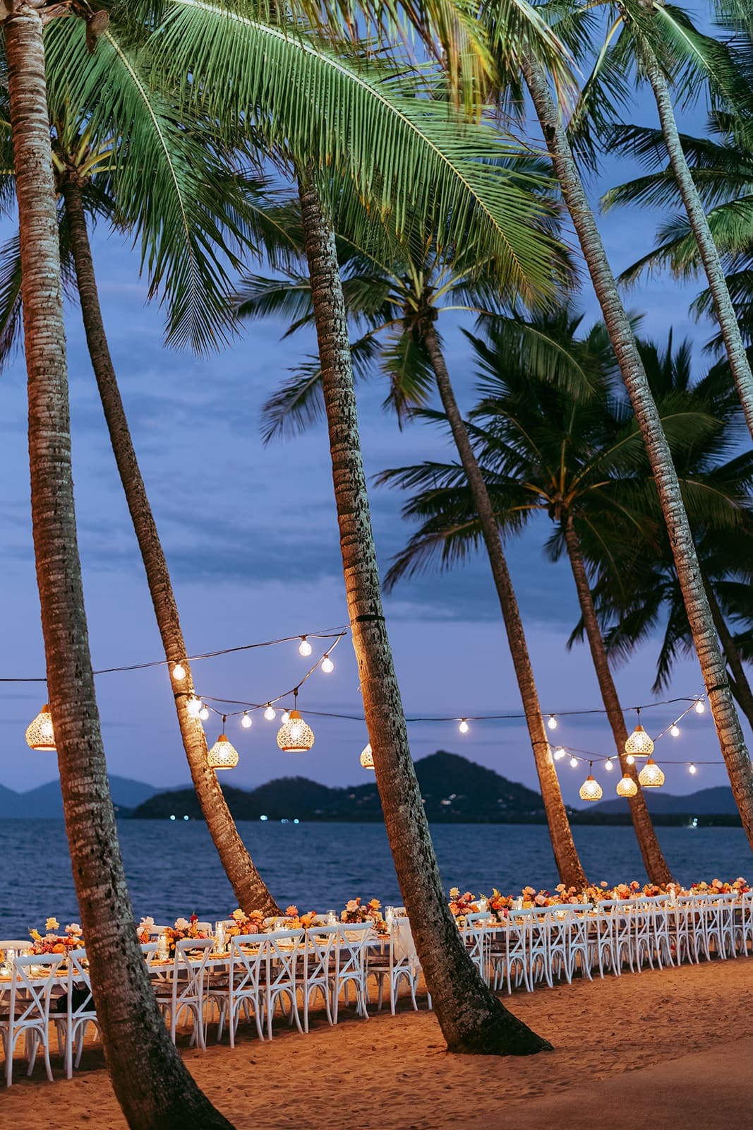Long wedding tables glowing under lanterns and festoon at blue hour, lit from below among the trunks of leaning palms